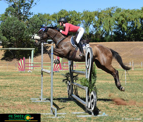 Libertarian makes easy work over the 1.20m oxer in the Super Two Phase with Emily Patterson in the saddle at the Australia Day Show Jumpiing Championships.