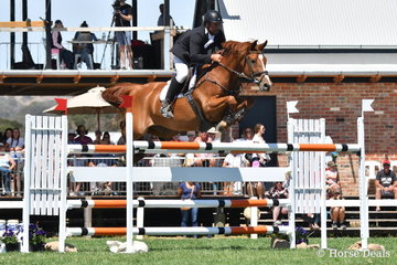 Russell Morrison back in the World Cup class after a few years jumped a promising round aboard his 'CE (Chuggy Equestrian) Cajun' and is pictured during round one of the Robertson-Smith Partners Equine Vets World Cup Qualifier.