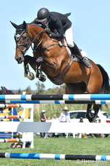 Current 2018/2019 Australian World Cup League leader, Aaron Hadlow is pictured aboard his talented mare, 'Vahlinvader' (Valhalla/Brilliant Invader mare) that took sixth place in the Robertson-Smith Partners Equine Vets World Cup Qualifier. The final World Cup qualifier for this season is being held next weekend at Sale.