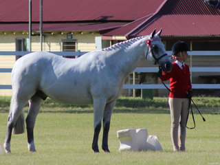 Lucy Sydney from Zone 15 