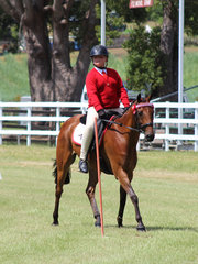 Safron Anderson from Zone 15 in the Pony Club Mount