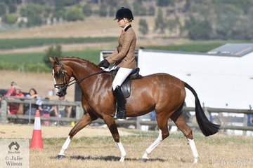 The well travelled, Brynie Lee rode, 'Mirinda Show Stopper' to win the Ring 2 classes for Novice Show Hunter Galloway and Lightweight Show Hunter Galloway.