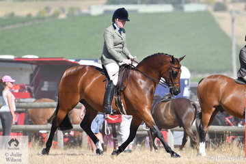 Holly Ticehurst rode her, 'Terra Felix XL' to win the Ring 2 class for Show Hunter Galloway 14.2-15hh and go on to claim the Show Hunter Galloway Championship.