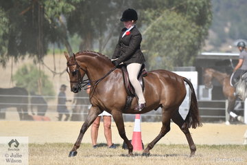 Claudia McMahon rode the well performed, 'Salisbury Masterpiece' to take second place in the Ring 2 class for Show Hunter Galloway 14.2-15hh and claim the Show Hunter Galloway Reserve Championship.