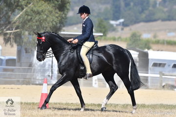 Harrison Postill rode, 'Batavia' to take second place in the Ring 2 class for Hack 15-15.2hh.