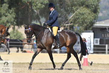 Alandi Durling rode her, 'Sienna Conchetta' to win the Ring 2 class for Hack 15-15.2hh.