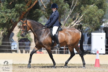 Lynda Peters riding her, 'Warrawee Intrigue' to win the Ring 2 class for Show Hunter Over 16hh and went on to claim the Show Hunter Hack Championship.