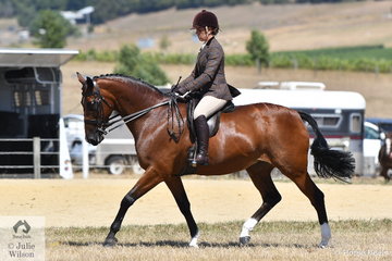 Colleen Waddell rode her well performed, 'Ellie O Kalos' to win the Ring 2 class for Heavyweight Show Hunter Hack.