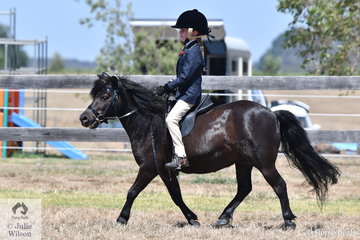 Tyler Gamble rode, 'Anton' to win the class for Child's Pony.