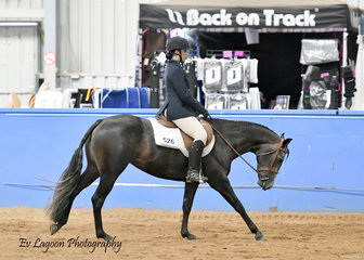 ELLA MCNEICE RIDING GJC HUNTIN FOR DREAMS, STATE CHAMPION NOVICE YOUTH HUNTER UNDER SADDLE