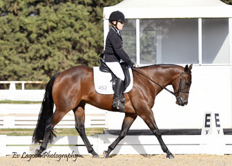 GF CATTLE CAMP KID COMPETING IN THE AMATEUR DRESSAGE RIDDEN BY AIMI HOLMES