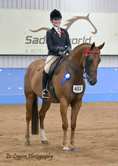 HL THEODORE RIDDEN BY CHANELLE HUNTER-COOKE IN THE RIDDEN HACK 15HH AND OVER.