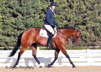 YVETTE WEALANDS COMPETING IN THE ALL AGE DRESSAGE RIDING MPQ CLASSIC EYE CANDY