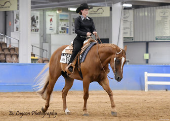 RQH PASS THE RED RIDDEN BY KARIN MORGAN, WINNING THE AMATEUR SENIOR HORSE TRAIL