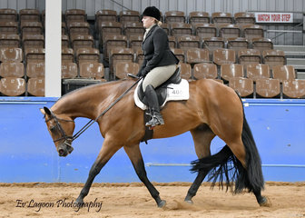 STATE CHAMPION KARLI RODERICK RIDING IRONOUTATEN IN THE AMATEUR JUNIOR HORSE HUNTER UNDER SADDLE