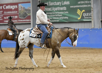 DGS ROCK A SONG RIDDEN BY DARREN SINCLAIR IN THE AMATEUR SENIOR HORSE TRAIL