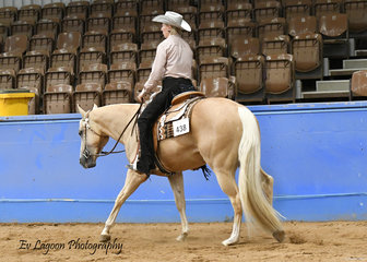 TOO GOOD TO BE BLUE RIDDEN BY GILL TANGEY IN THE JUNIOR HORSE WESTERN PLEASURE