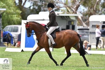 Daizi Plumb rode Emma Richardson's, 'Nalinga Piano Man' to make Top 10 in the 2019 Child's medium Pony Championship on day one of the 50th Celebration Barastoc Victorian Horse of the Year Show.