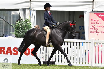 Zoe Weinberg took fifth place in teh Peter Gahan Trophy riding class.