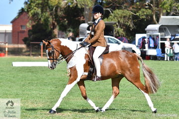 Natasha Moody's colourful, 'Kittani Zarkana' took third place in the Child's Small Show Hunter Galloway Championship.