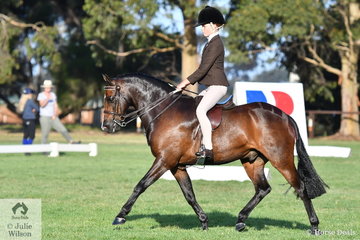 With the sun setting Poppi Plumb rode Daizi Plumbs, 'DP Chocolate' to Reserve Champion in the class for Child's Medium Show Hunter Pony. On the first day of the Barastoc 50th Anniversary Celebration Show the Children events started at 7.30 am and finished at 8 pm.