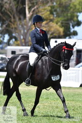 Chanele Hunter rode  Lyn Warburton's, 'Daisy Patch Soul Star' to take out the 2019 Barastoc Small Galloway Reserve Championship.