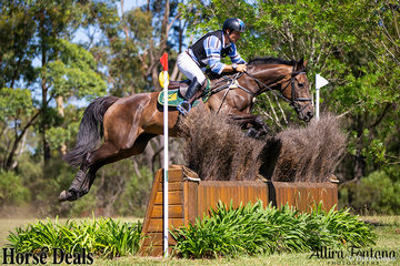Shane Rose riding Pumpkin may have come 5th in the cross country phase of the team triathlon, but his clear round meant no penalty points were added to their team score.