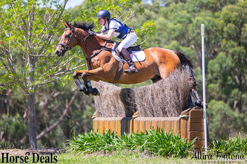 Altered Boy easily clearing the YES Events Ditch Palisade with Lachlan Blair in the saddle.