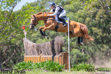 Sandhills Stanza made sure to clear the ditch for Jessica Grosmass.