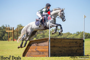 Nicky Lyle riding Winter Hill easily sail over the log box.