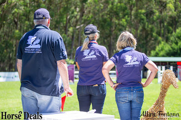 The Wallaby Hill team keeping an eye on the show jumping course.