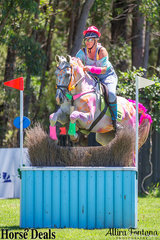 There were a lot of coulourful horses in the Eventers vs Show Jumpers class, pictured is Stephanie Bender and Pluto Mio clearing one of the cross country jumps on course.