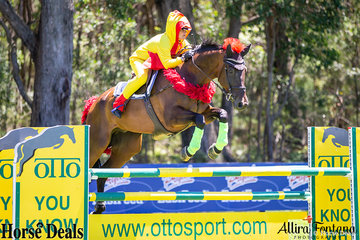 Katrina Silk riding Dunrostan is no chicken when it comes to jumping the OTTO jump.
