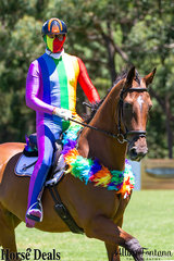 Who is that? It looks like Shaun Dillion riding Sovereigns Cessann…