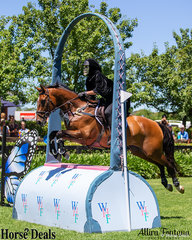 What looks to be Soigne Jackson riding Warrego Collateral Damage jumping the Wallaby Hill Farm hand bag.