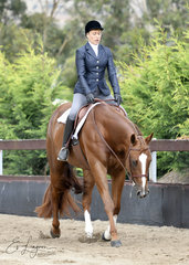 ANNETTE GREEN RIDING CP GUNNAHAVSUMFUN IN HUNTER UNDER SADDLE