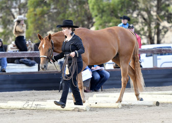 CLAIRVAUX PLAYIN TO SCORE SHOWN BY JACKIE HOBDEN IN YEARLING LED TRAIL