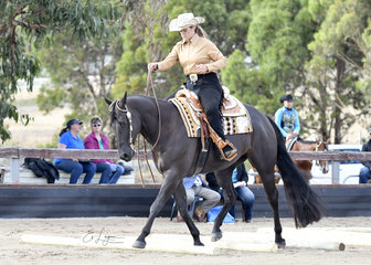 DOIN IT DOWNUNDER RIDDEN BY RACHEL ROBINSON IN THE TRAIL CLASS