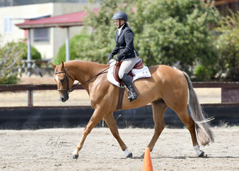 LIZ KEATING RIDING QXH SWEET DREAMS N LIES