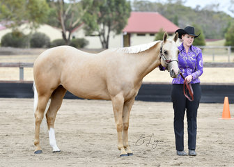 KARLIE BIRCH SHOWING EVOCATIVE N PLAYFUL AT HALTER