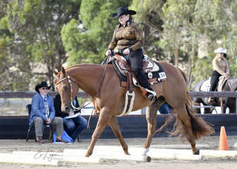 SPRINGVALE GOLDEN N RULE RIDDEN BY GEORGIA WEAVELL IN THE TRAIL CLASS