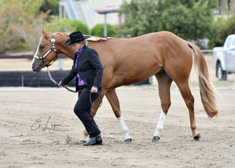 SVQ BETURASSETSIMSOMETHIN SHOWN BY KATRINA DAKIN IN THE HALTER CLASS