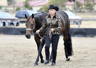 THE IMPULSABLE DREAM SHOWN BY SYLVIA KIDSON IN THE SHOWMANSHIP CLASS