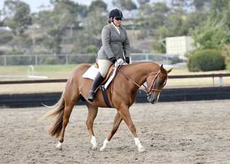 ZIPPED IN RHYTHM RIDDEN BY MICHELLE PHILLIPS IN THE HACK CLASSES