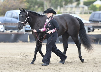TPL SECRET SEDUCTION SHOWN BY ANGELA ROBERTSON IN THE YEARLING VERSATILITY EVENTS