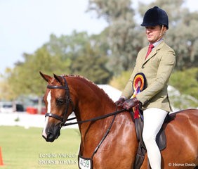 Champion Large Show Hunter Pony Newcomer "Langtree Secret Affair" and Michael Gates.