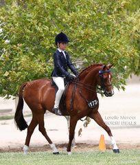 Zali Mills working out for a Top 10 placing in the Rider 6 & under 9 years event.