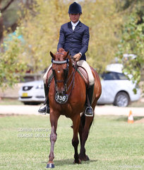 Reserve Champion Rider 30 years & over went to Reece Lawson.