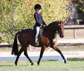 Shaleigh Joblin placed Top 10 in the Rider 9 years & under 12 years event.