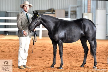 Andrw Walker is pictured with Kim McCallum's filly, 'Viewhill LED' that was declared Champion Led Yearling.